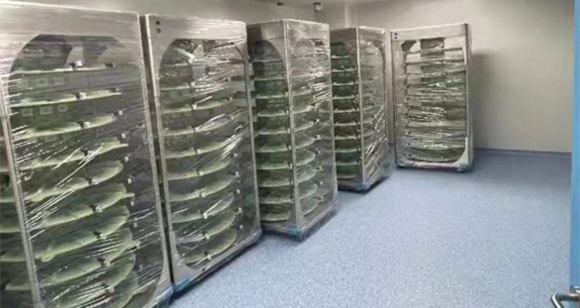 上海嗣新医药3.jpg